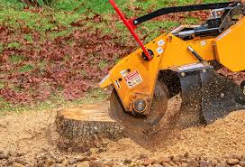 Best Tree Mulching Services  in Bay Pines, FL